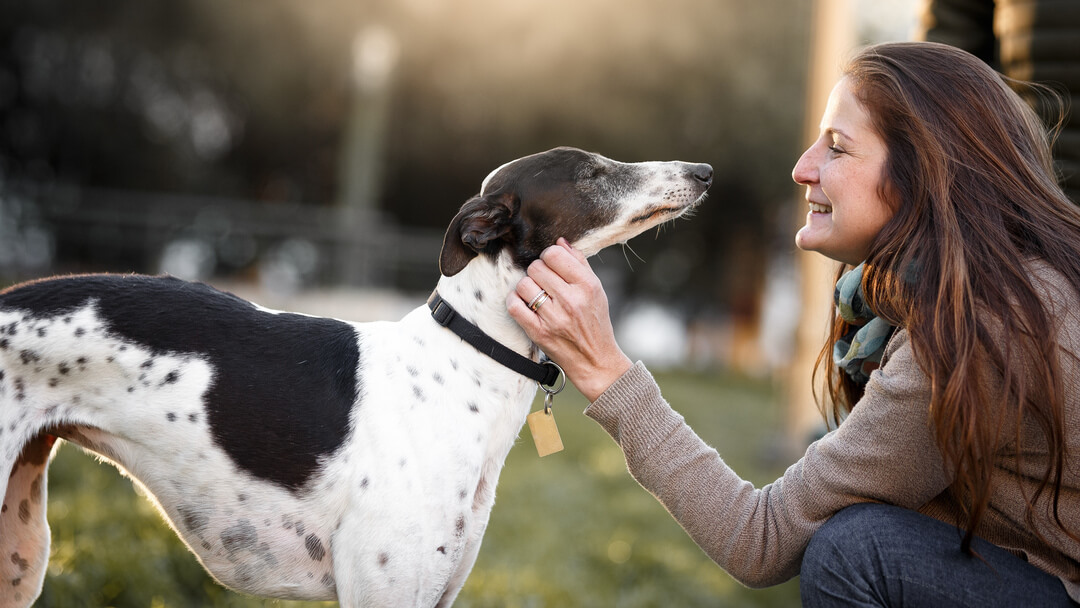 Dog breeds that outlet shed very little